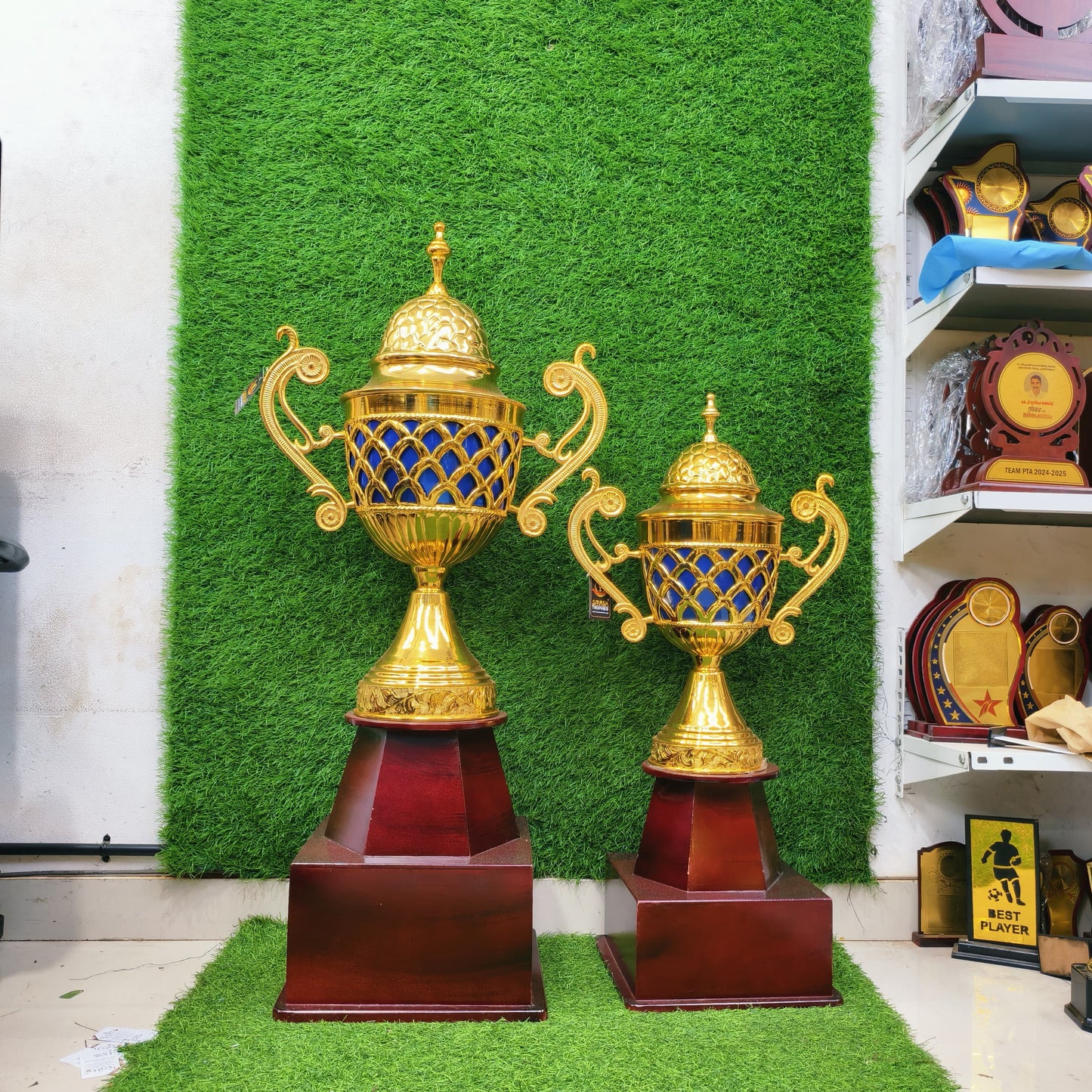 CHAMP 31 B