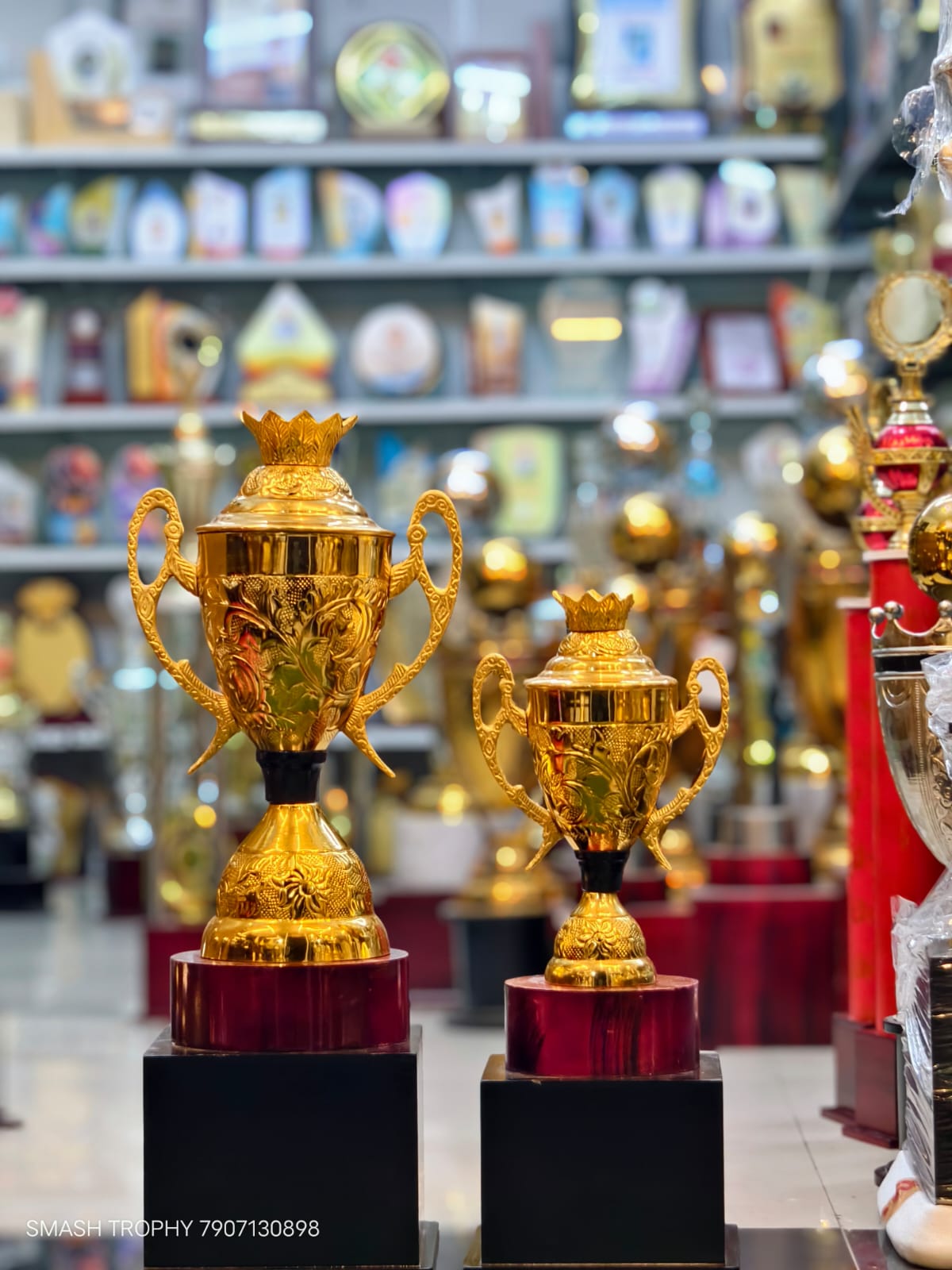 Metal trophi 1003 LS -4400