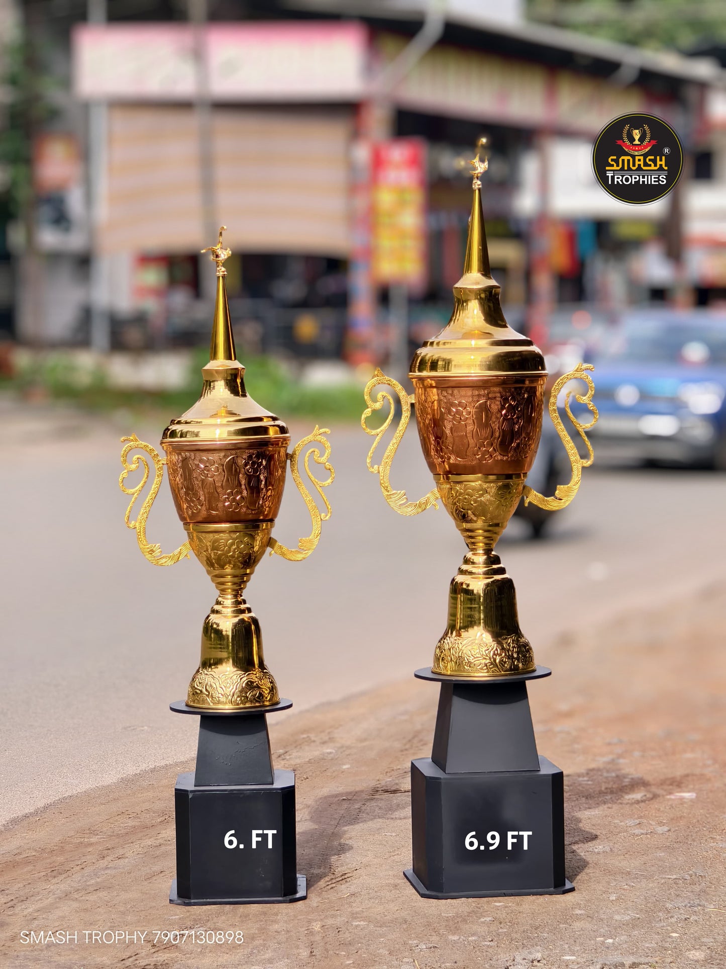 Metal trophies KOBRA L M 6.9 FT