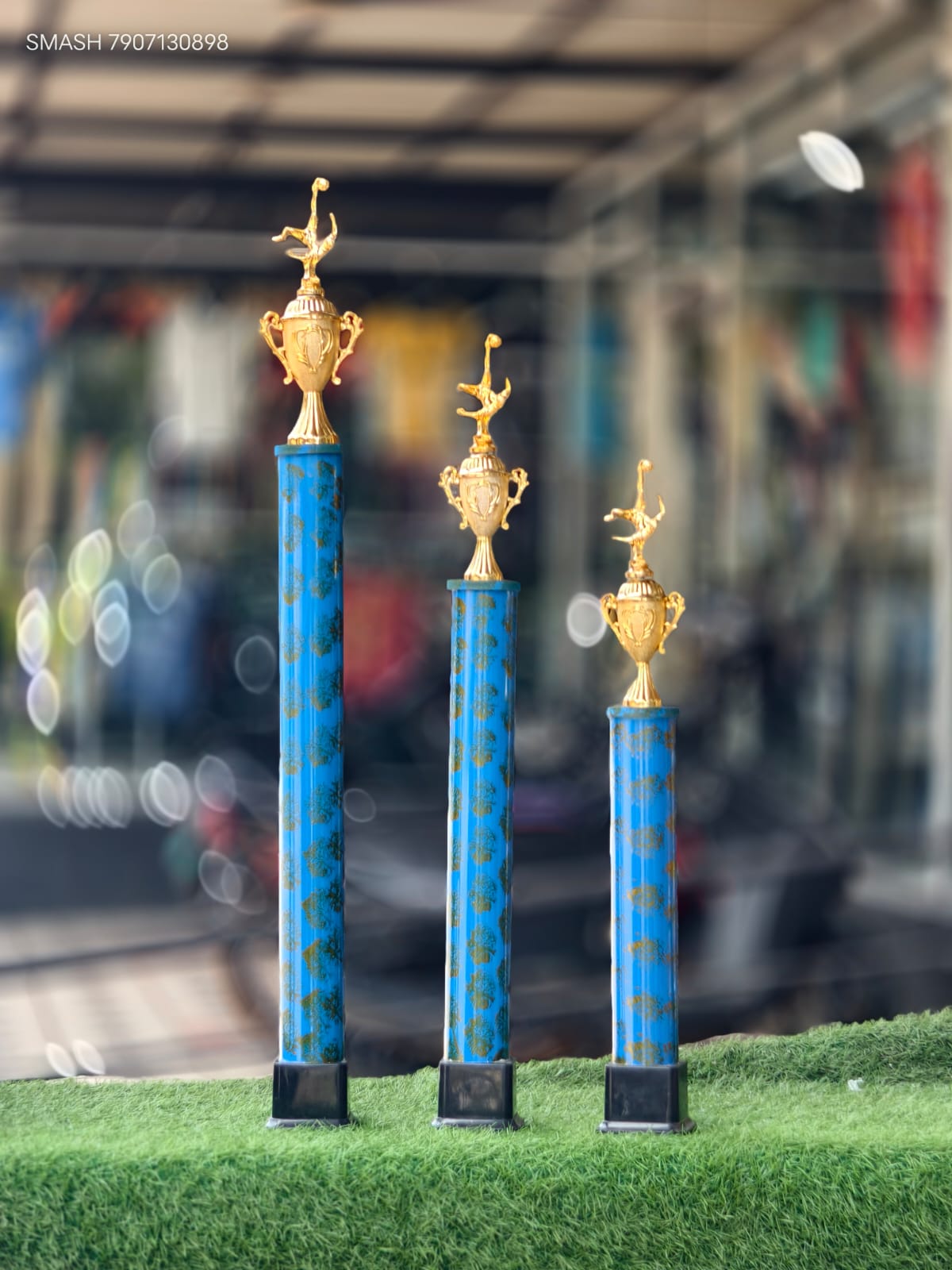 33-1450 blue 3 trophy