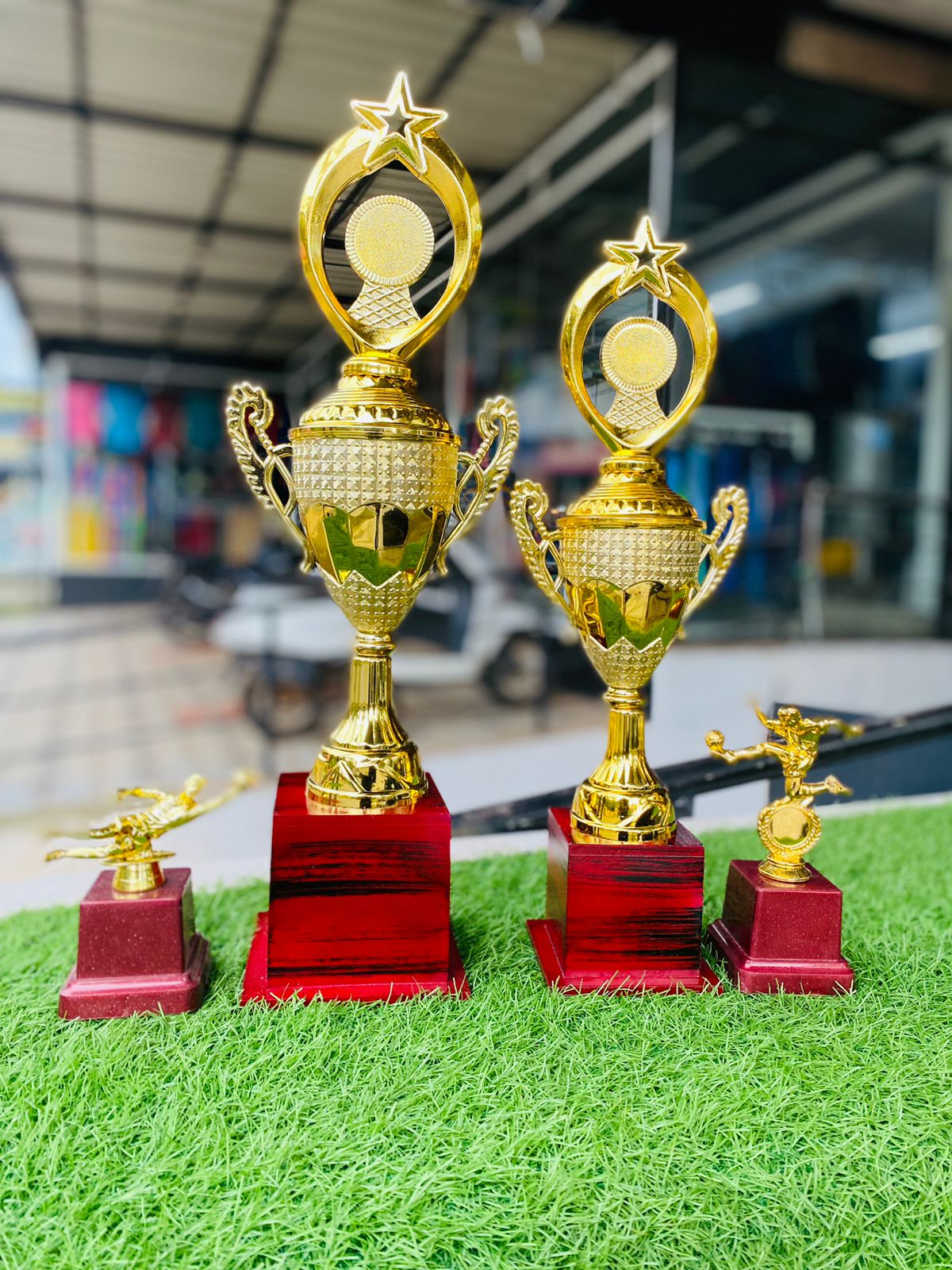 COMBO OFFER Trophies MS750 L M COM