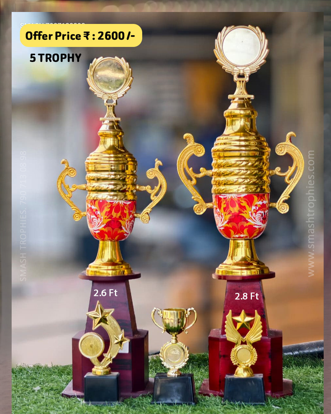 5-TROPHY FULL SET OFFER 2600