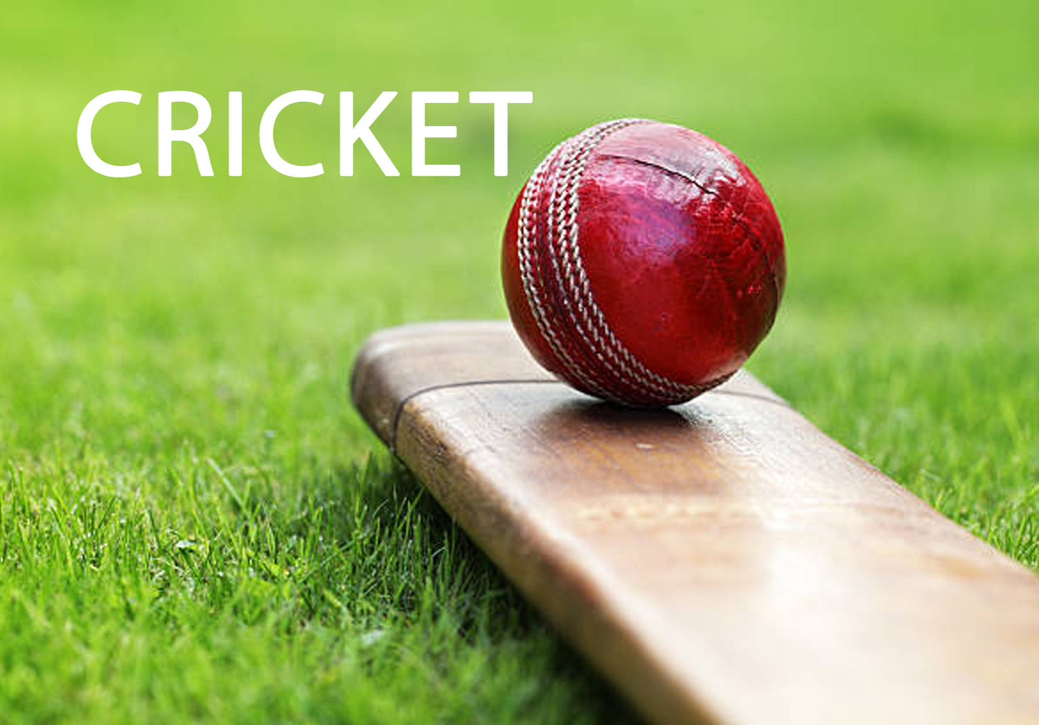 Cricket