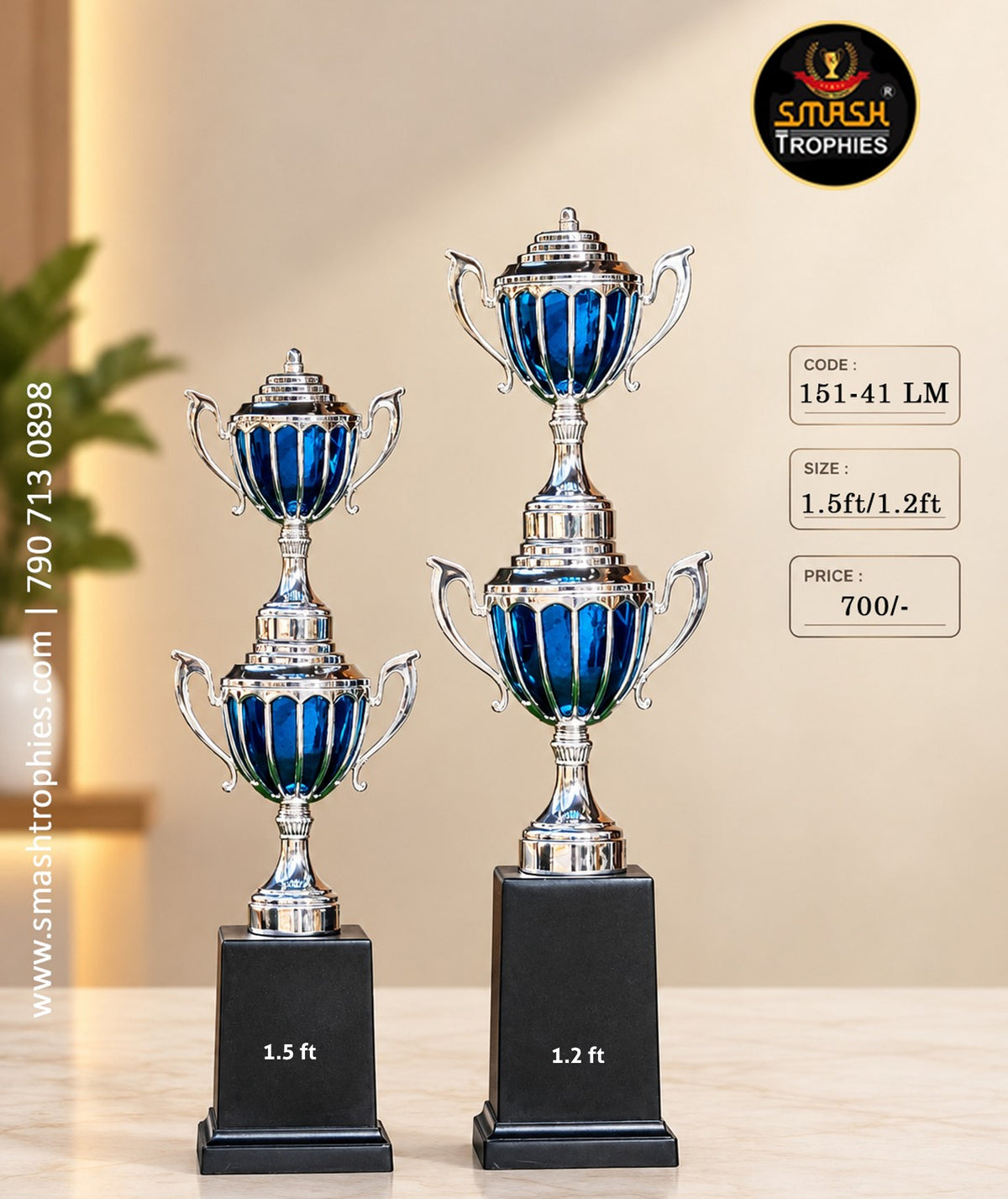 SILVER TROPHY 141 -700