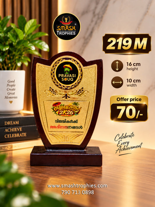 PREMIUM WOOD MOMENTO  219 M -70