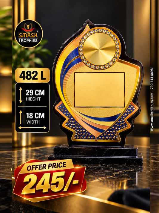 PREMIUM AWARD SERIES 482 LARGE