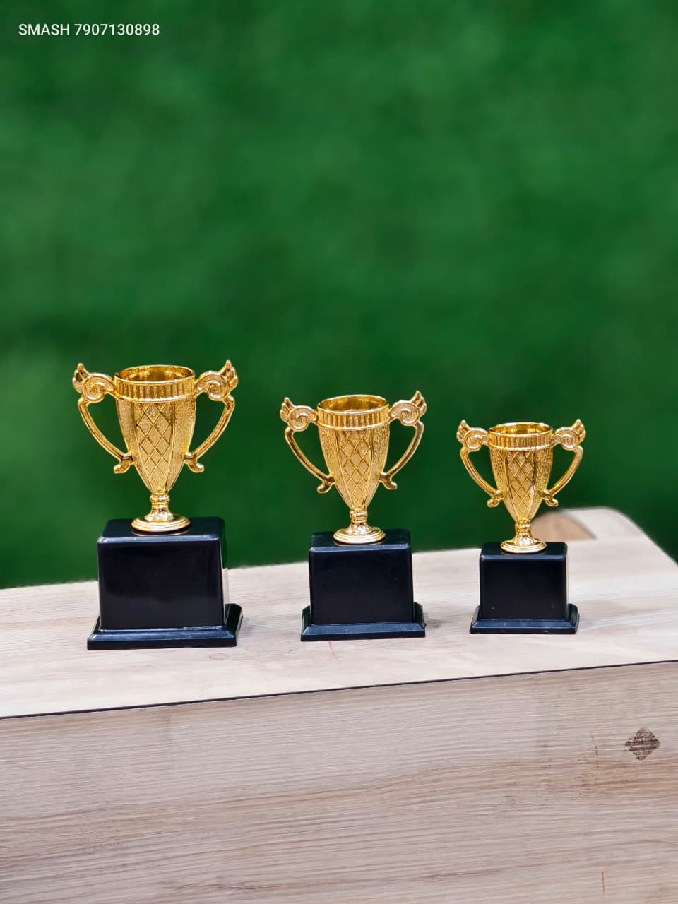 Winner Trophy Set (Pack of 3)  120/-