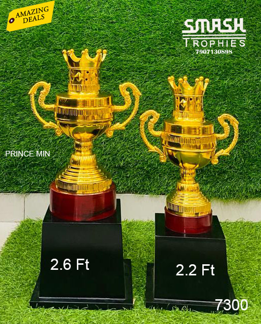 PRINCE MIN LM 2.6 Ft,2.2 Ft