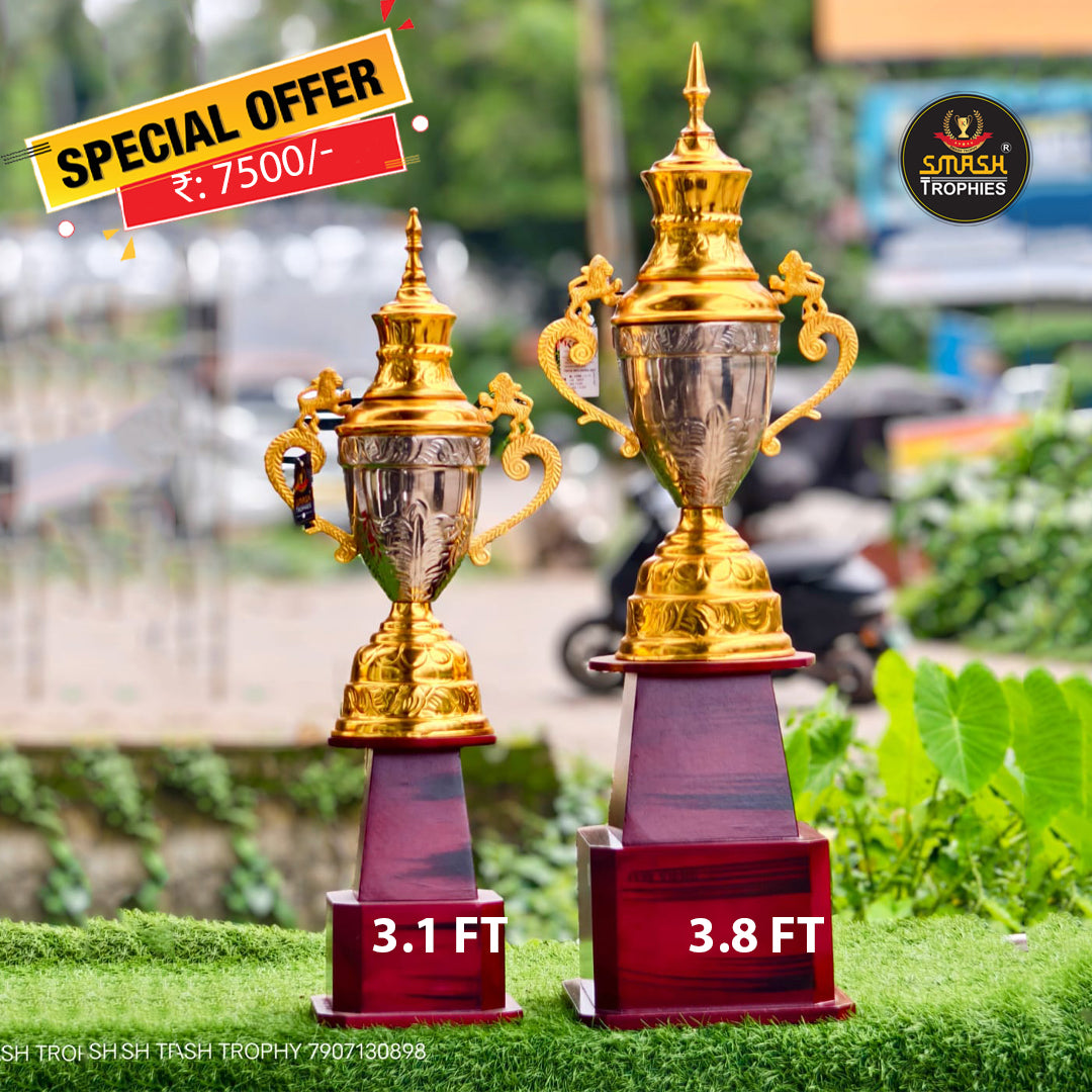 BIG Metal trophies 357 ms