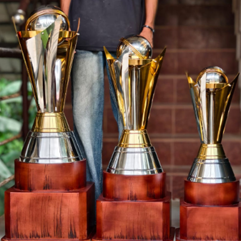 Cricket  1073