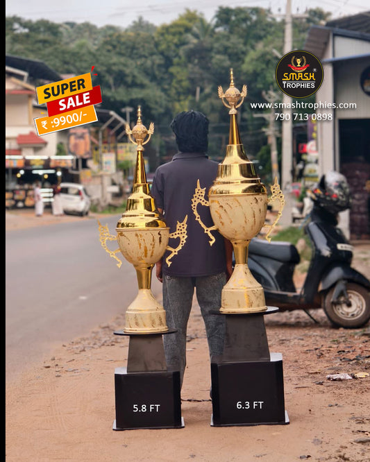premium trophies 9900/-