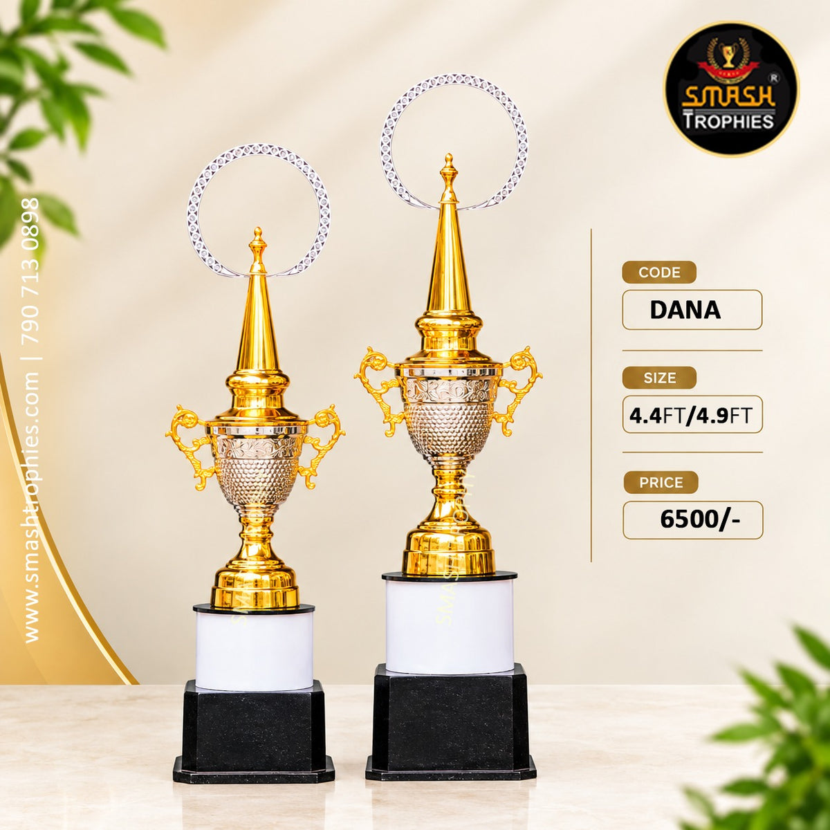 DANA  Full 3-Trophy Set: ₹8600