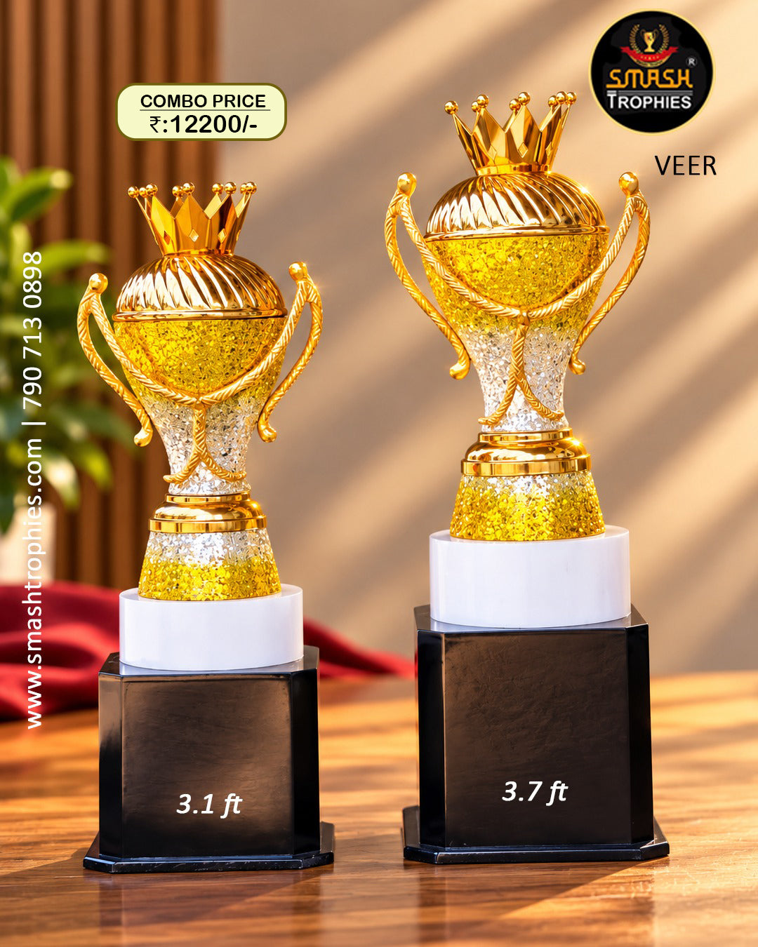 SILVER AND GOLD  TROPHY VEERC 19500