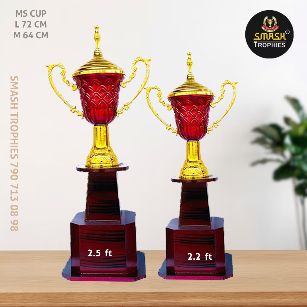 MS CUP 2.5 FT 2.2 FT