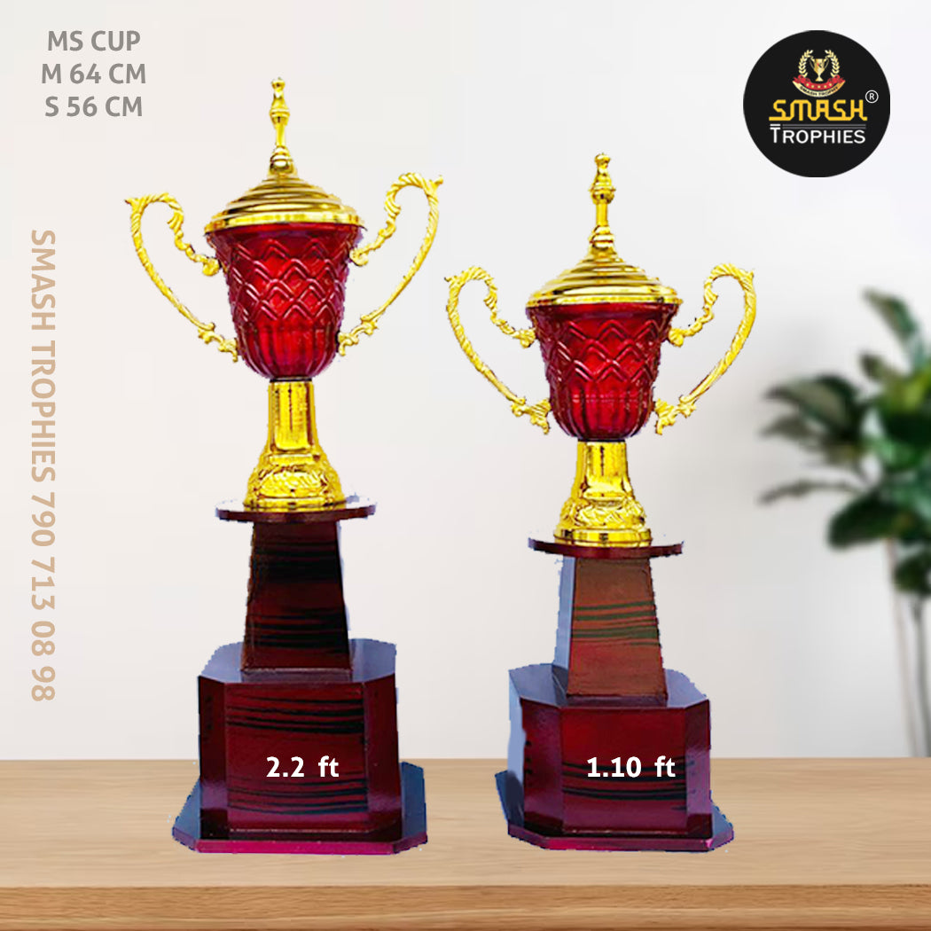 MS CUP 2.2 FT