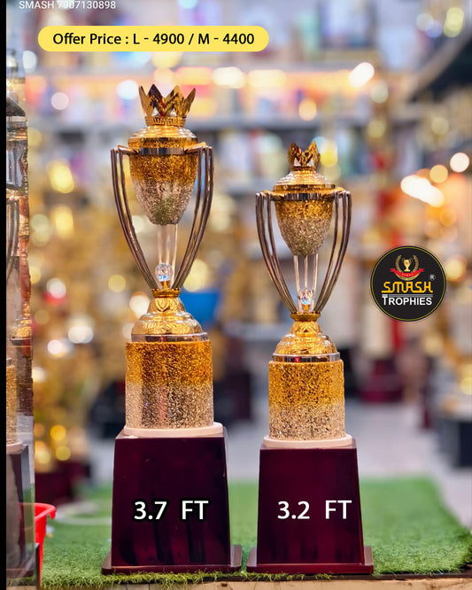 CHAMPIONSHIP TROPHY OFFER  acup 9400