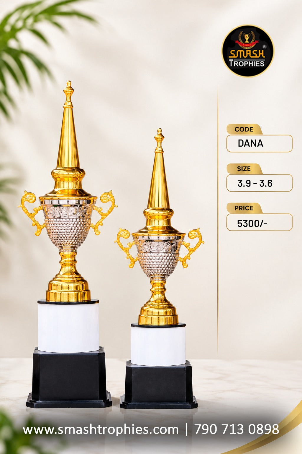 DANA Full 3-Trophy Set: ₹7900