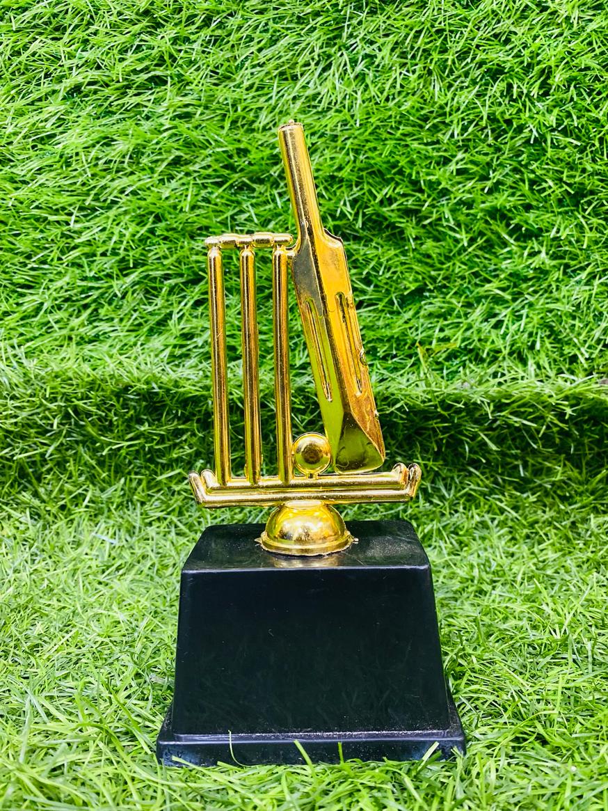 Cricket Individual Awardsrts – SMASH TROPHIES