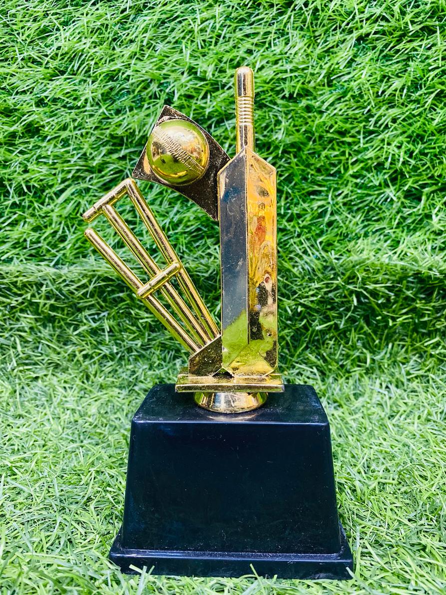 Cricket Individual Awardsrts – SMASH TROPHIES