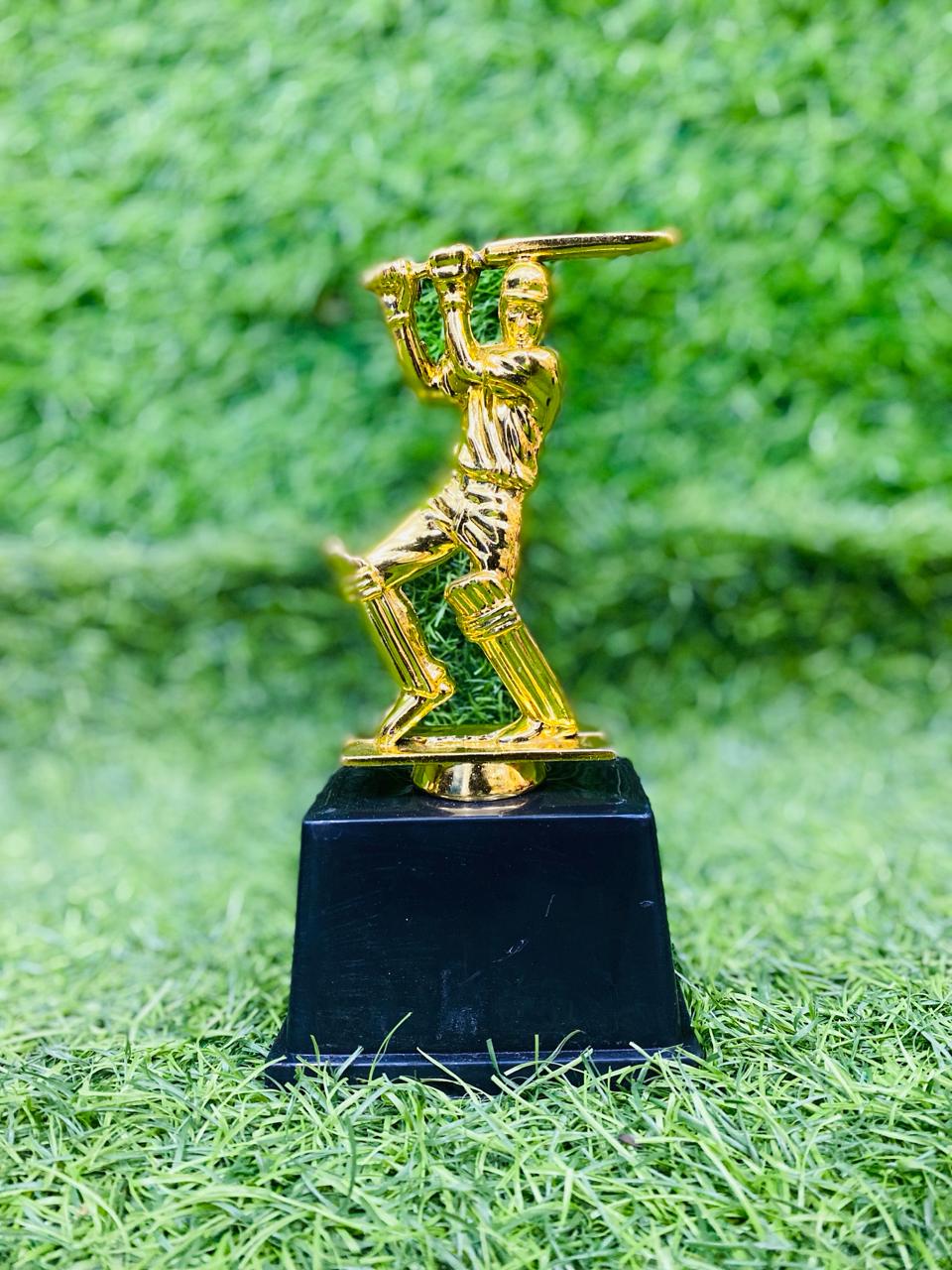 Cricket Individual Awardsrts – SMASH TROPHIES