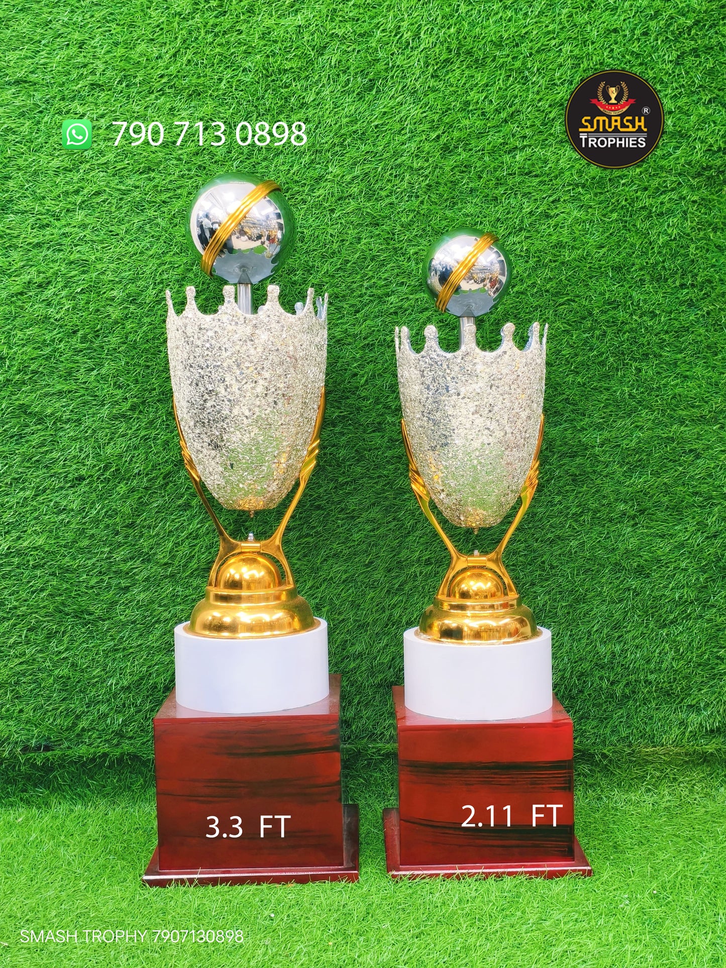 new model Steel trophy C246 LM 8800