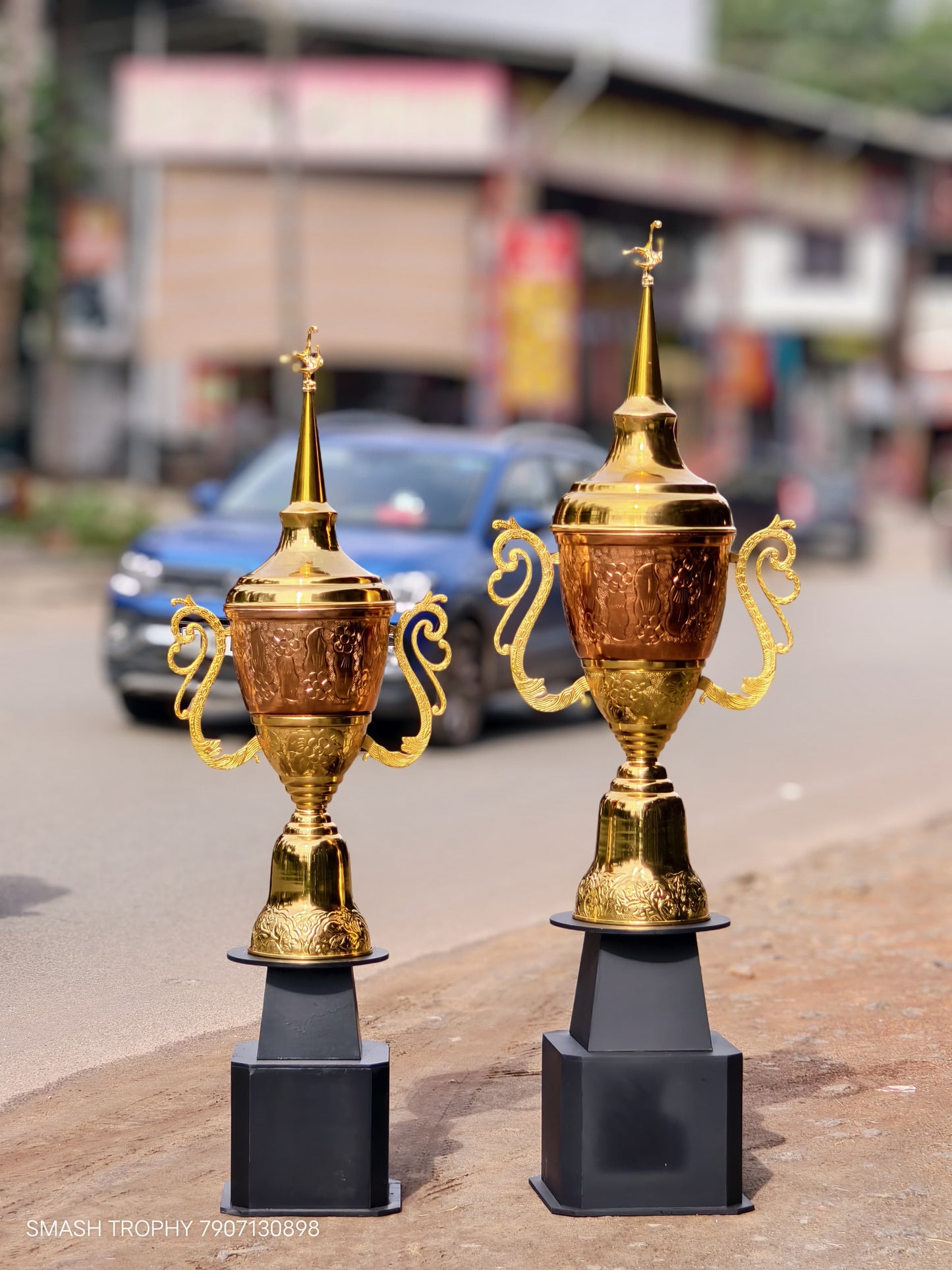 Metal trophies KOBRA L M 6.9 FT