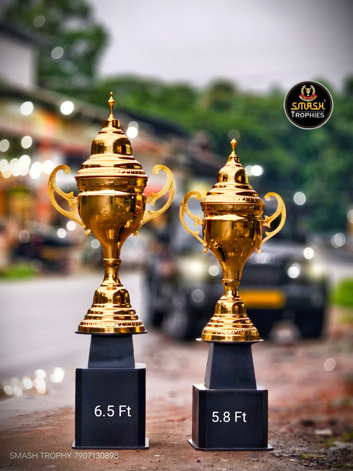 Metal trophies GOLA 12