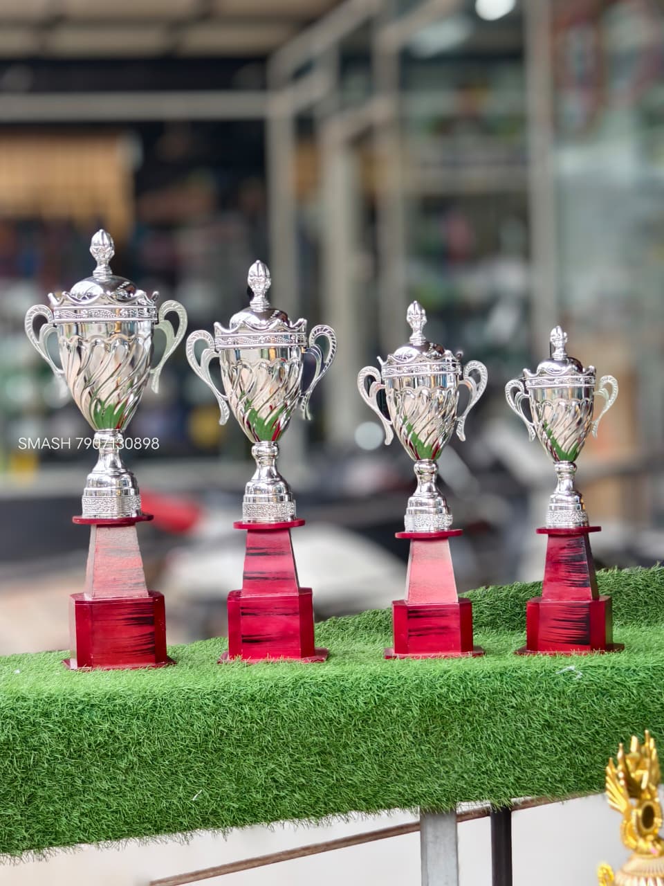 Steel Trophy 3010 1234