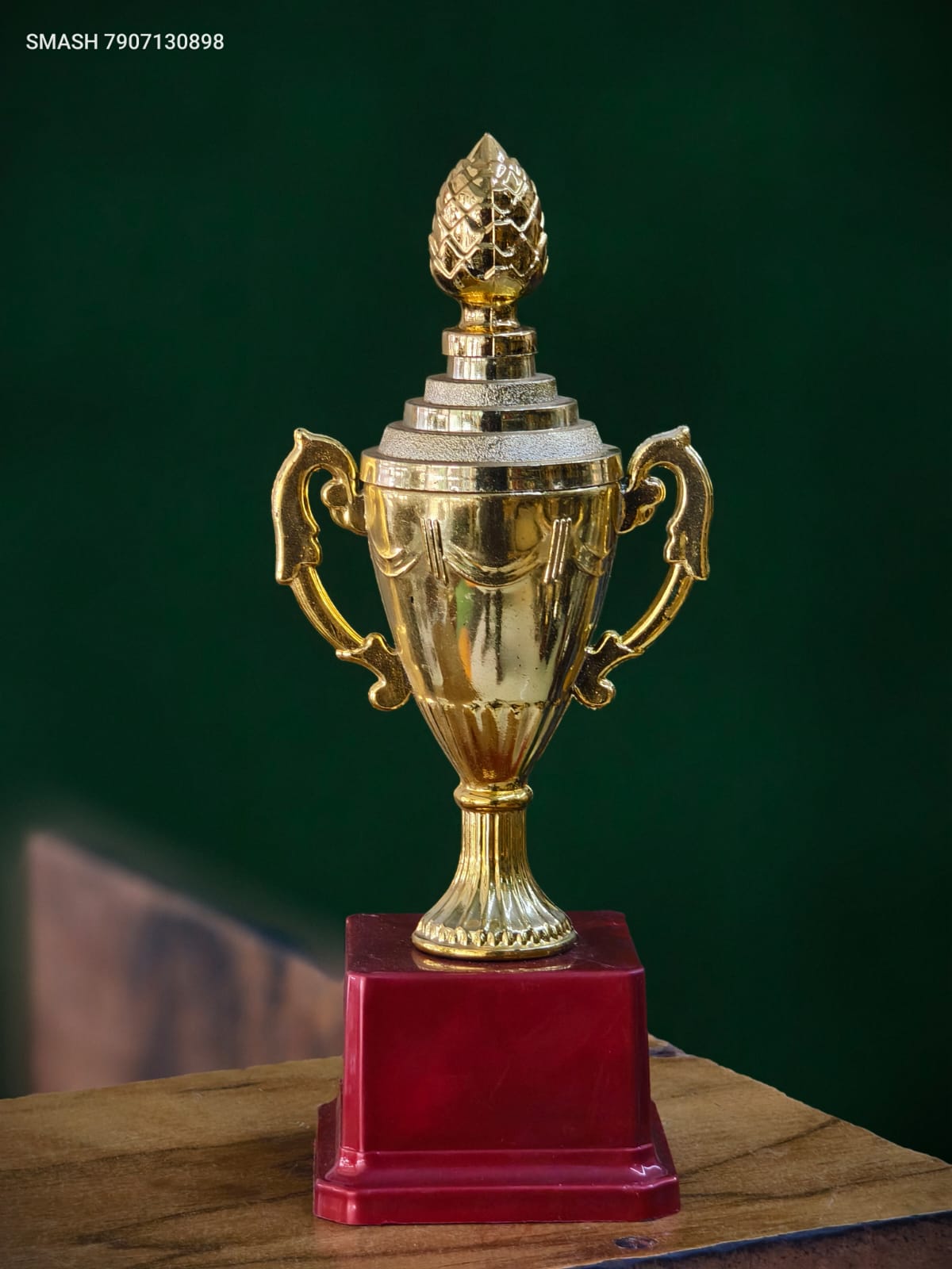 TROPHY 201-190