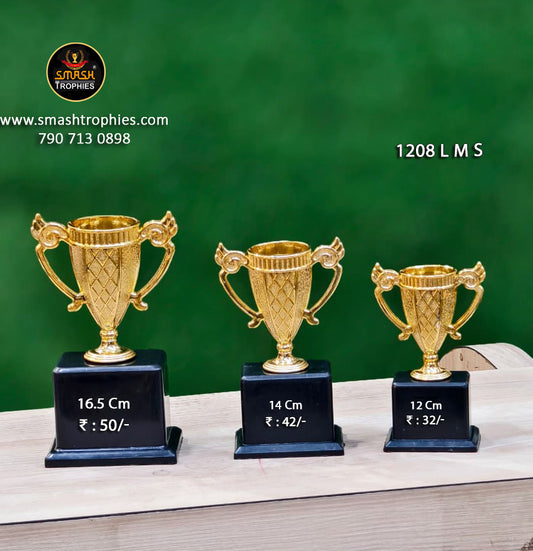 Winner Trophy Set (Pack of 3)  120/-
