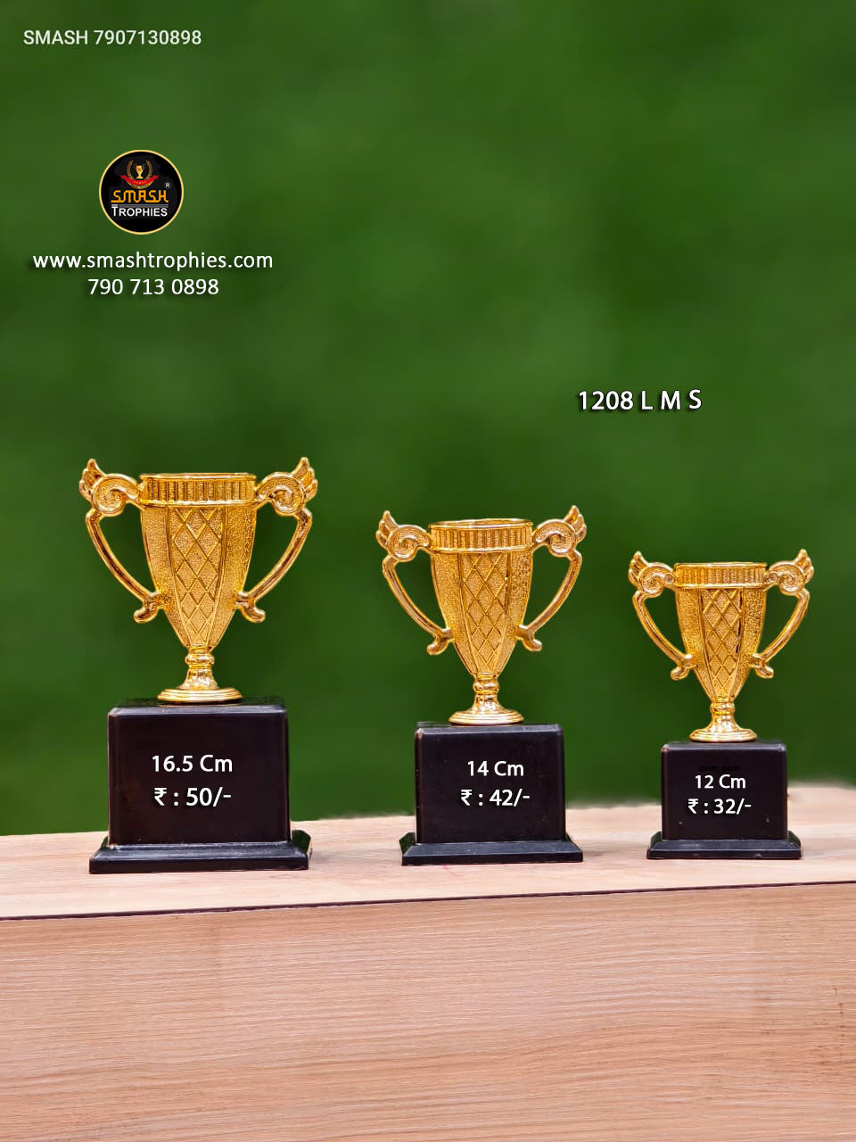Winner Trophy Set (Pack of 3)  120/-