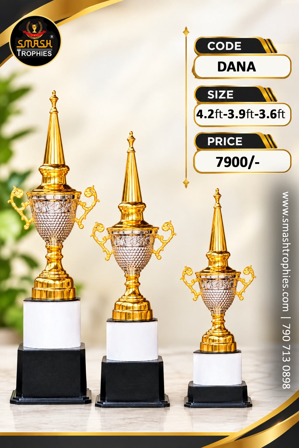 DANA Full 3-Trophy Set: ₹7900