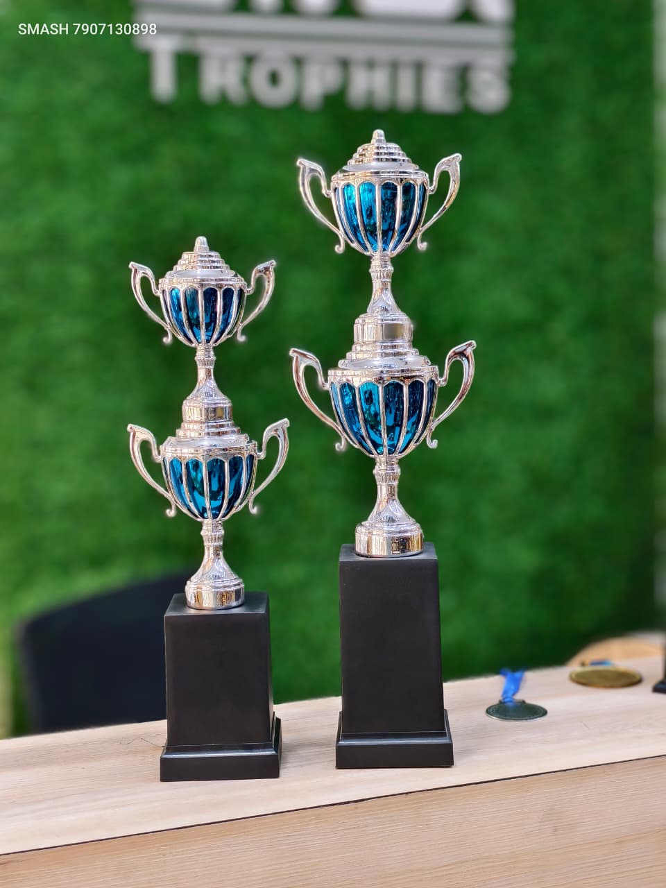 SILVER TROPHY 141 -700