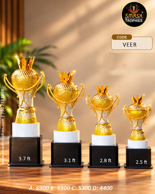 SILVER AND GOLD  TROPHY VEERC 19500