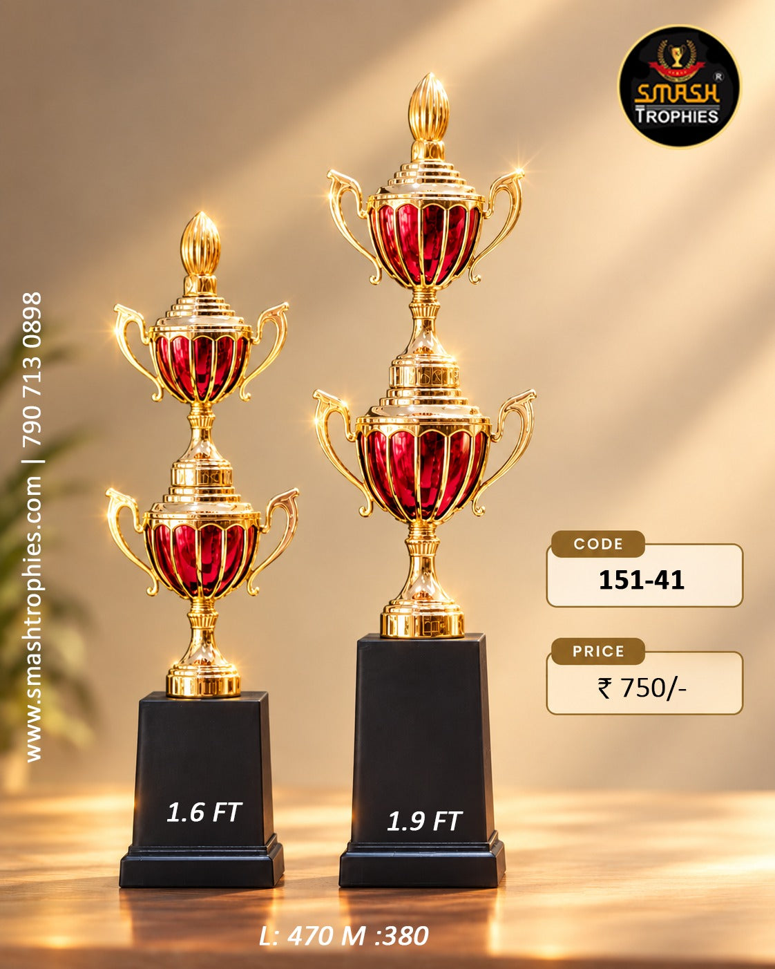 SILVER TROPHY 141 -750
