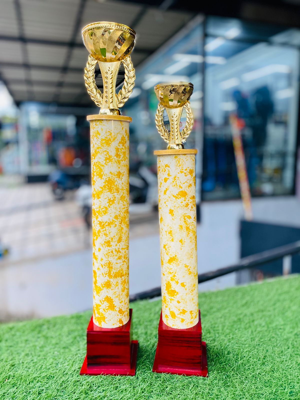 Big Trophies Low price  218 LS 3.2 FT