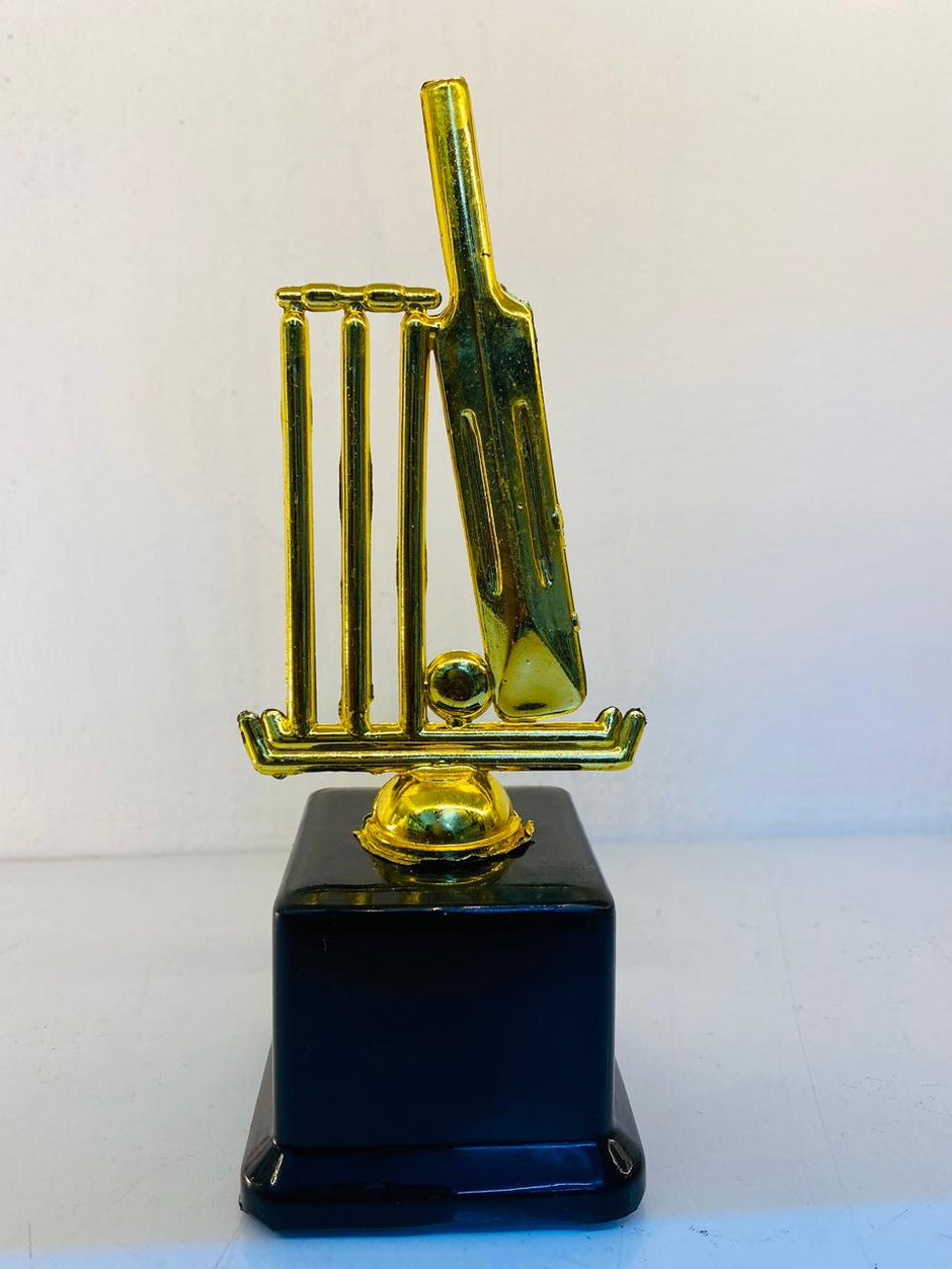 Cricket Individual Awardsrts – SMASH TROPHIES