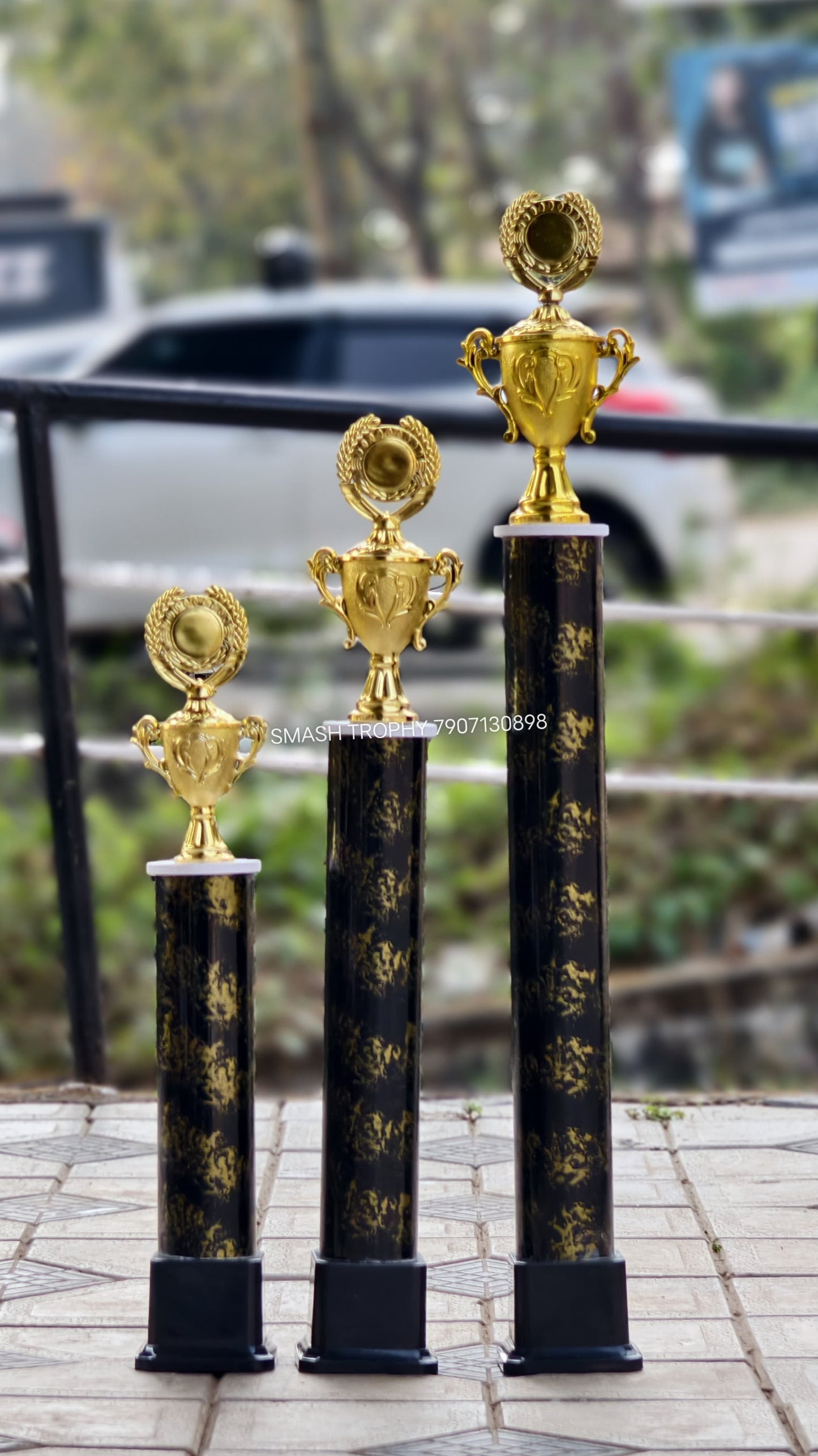 Big Trophies Low price  33-1100