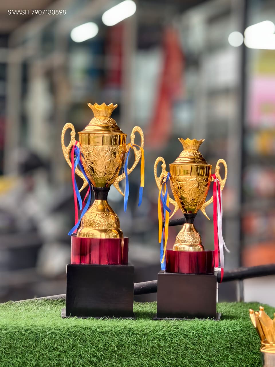 Metal trophi 1003 LS -4400