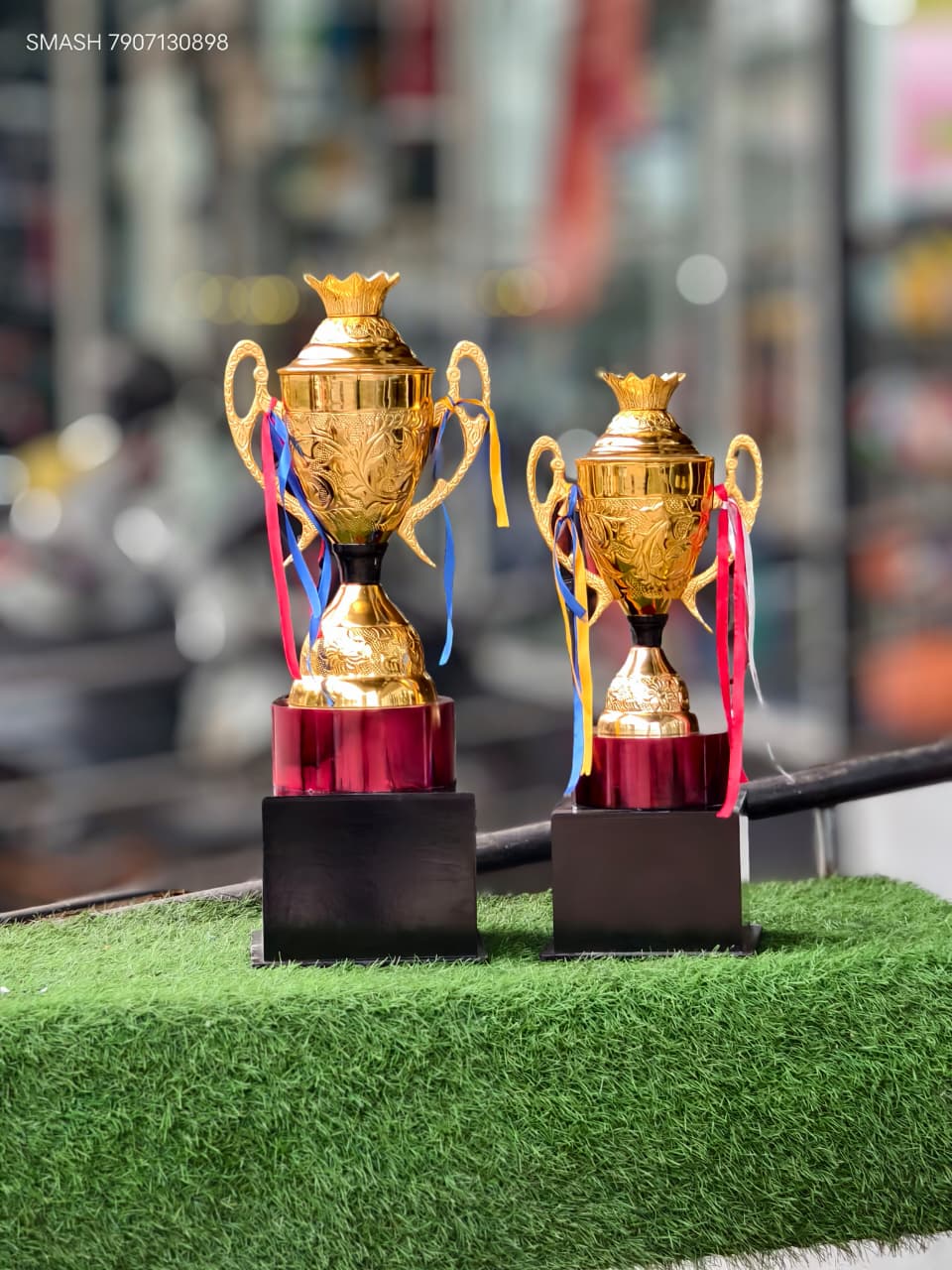 Metal trophi 1003 LS -4400