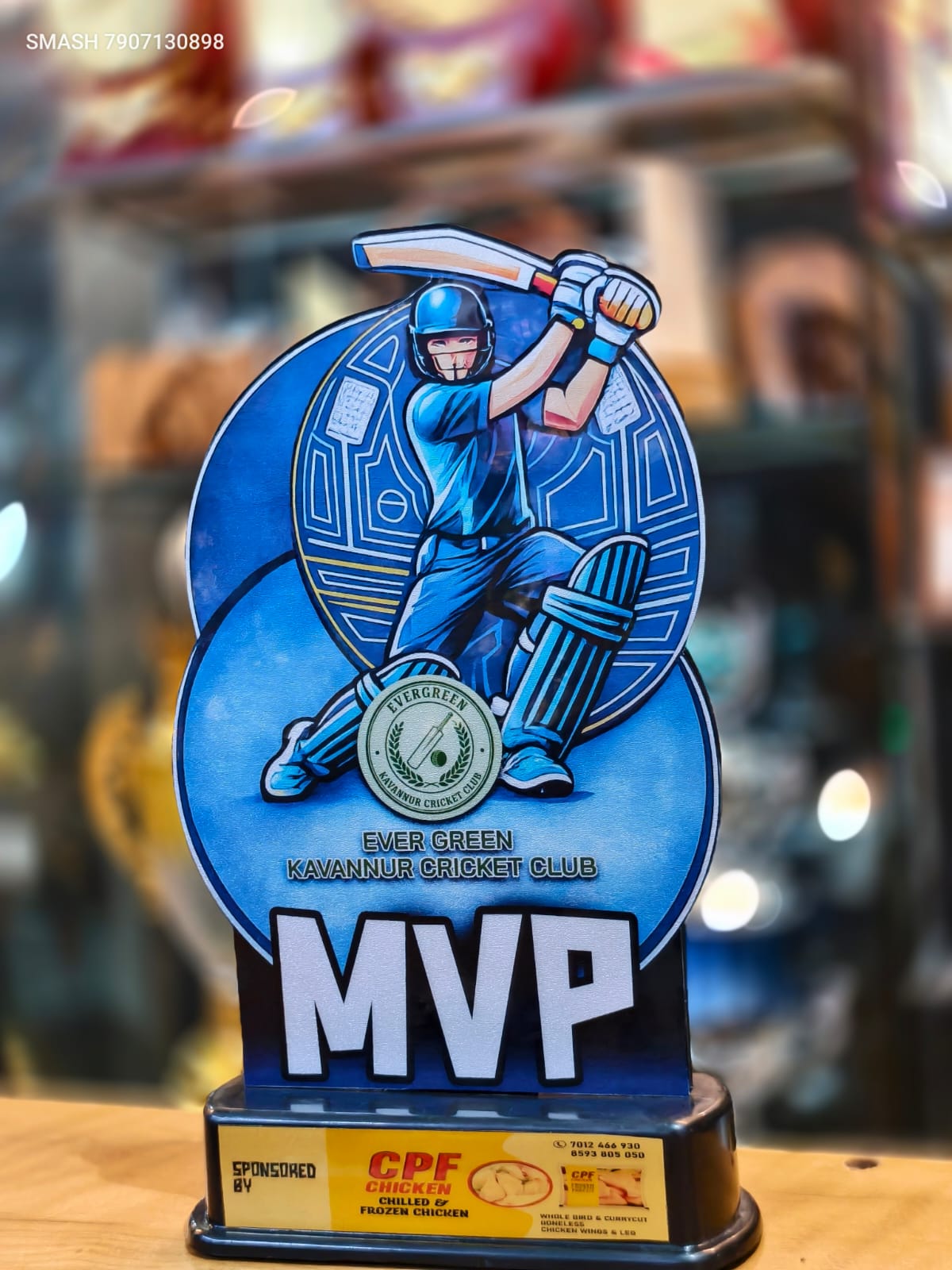 AQ290 MVP