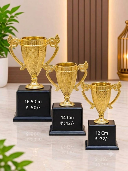 Winner Trophy Set (Pack of 3)  120/-