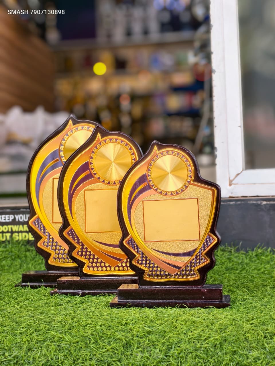 PREMIUM AWARD SERIES 482 SMALL