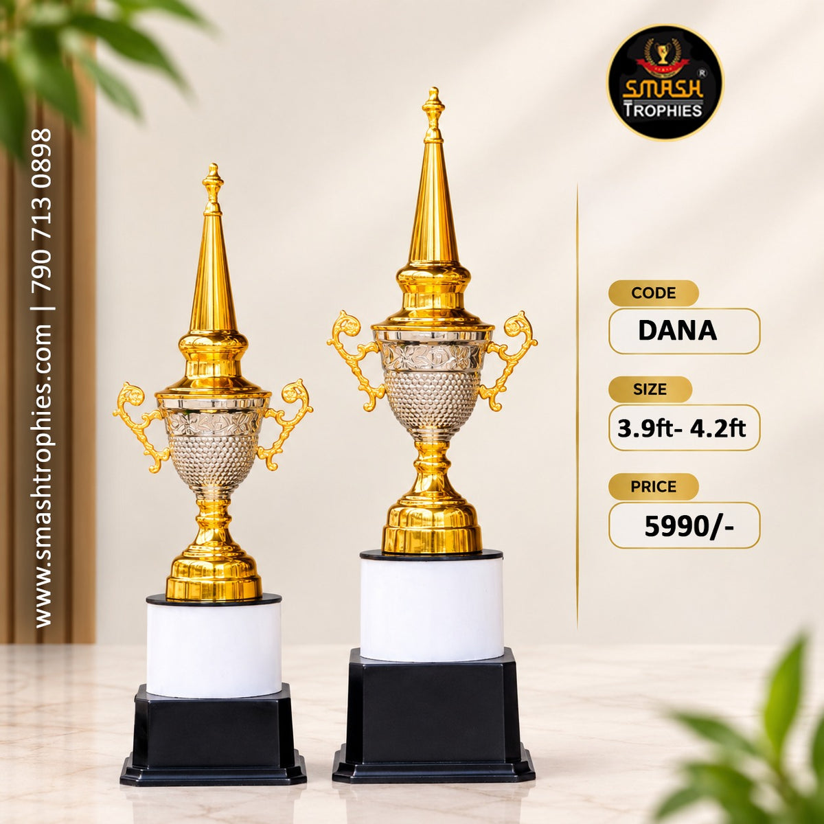 DANA Full 3-Trophy Set: ₹7900
