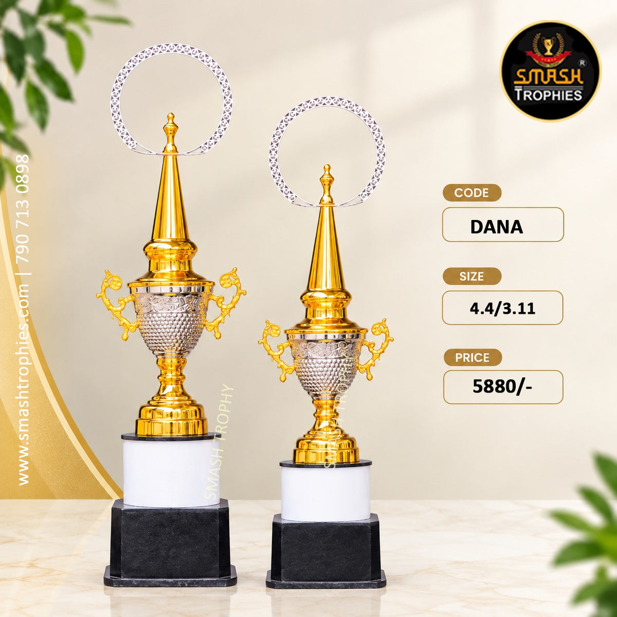 DANA  Full 3-Trophy Set: ₹8600