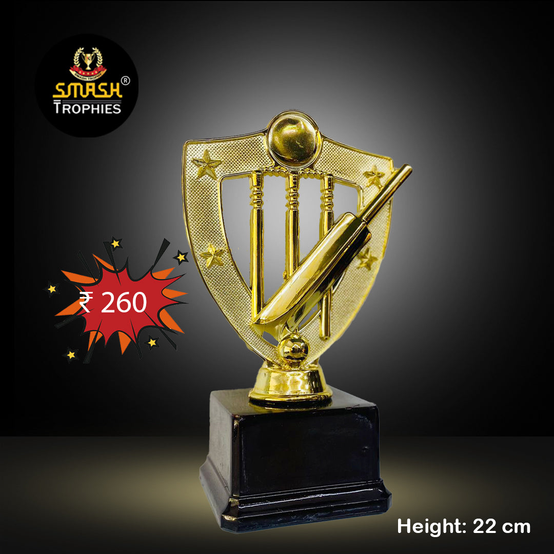 Cricket Individual Awardsrts – SMASH TROPHIES