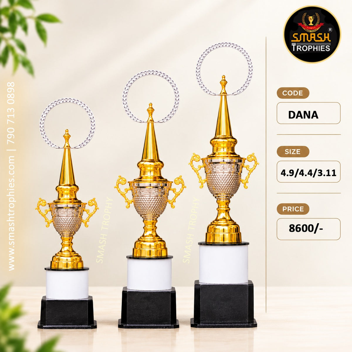 DANA  Full 3-Trophy Set: ₹8600