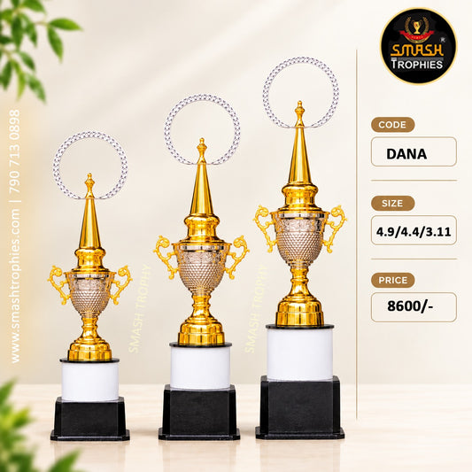 DANA  Full 3-Trophy Set: ₹8600